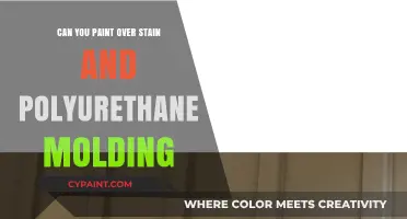 Revamping Your Home: Painting Over Stained and Polyurethane Molding