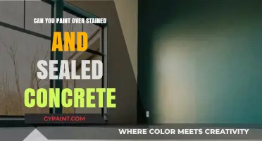 Revamping Your Concrete: Painting Over Stained and Sealed Surfaces