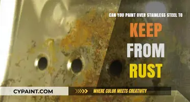 Painting Stainless Steel: Effective Rust Prevention Techniques and Tips