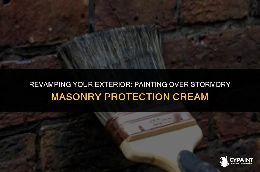 can you paint over stormdry masonry protection cream