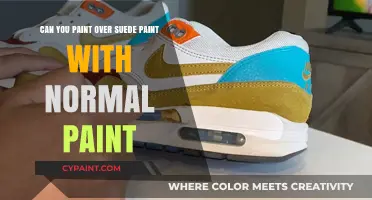 Transforming Suede Paint: Covering with Regular Paint