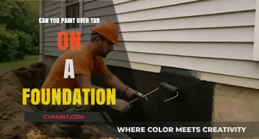 Revamping Foundations: Can You Paint Over Tar Successfully?