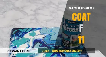 Revamping Your Ride: Can You Paint Over Top Coat F11?
