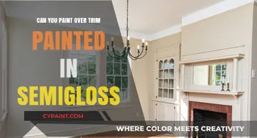 Revamping Trim: Painting Over Semigloss for a Fresh Look