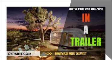 Revamping Your Trailer: The Do's and Don'ts of Painting Over Wallpaper