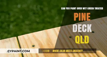 Painting Over Wet Green Treated Pine Decks in Queensland: Tips and Tricks