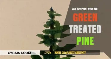 Revamping Your Space: Painting Over Wet Green Treated Pine
