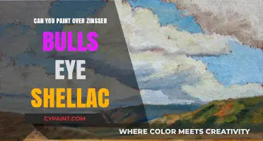 Revamping Your Space: Painting Over Zinsser Bullseye Shellac