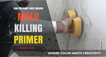 Revamping Your Walls: Painting Over Zinsser Mold Killing Primer