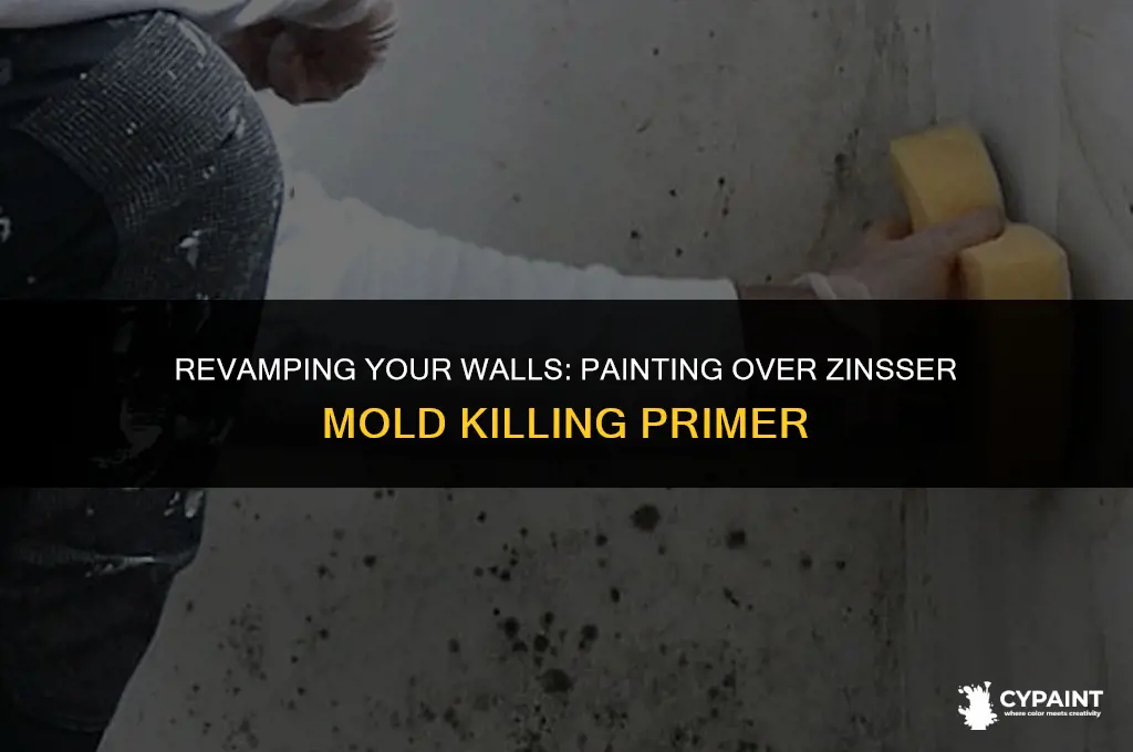 can you paint over zinsser mold killing primer