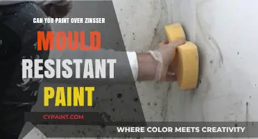 Revamping Walls: Painting Over Zinsser Mould Resistant Paint