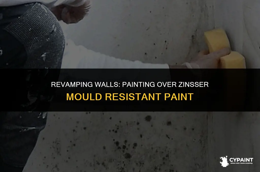 can you paint over zinsser mould resistant paint