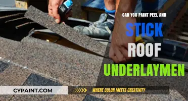Revamping Your Roof: The Pros and Cons of Painting Peel and Stick Underlayment