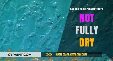 How to Paint Plaster: The Dryness Factor
