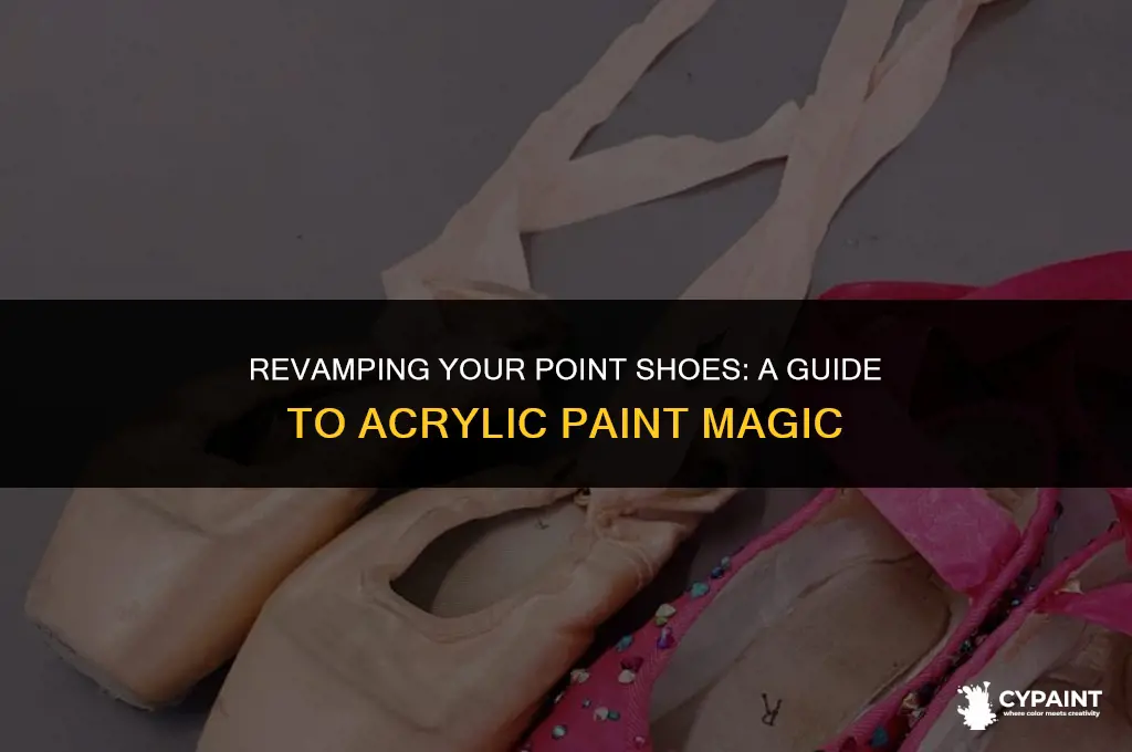 can you paint point shoes with acrilic paint