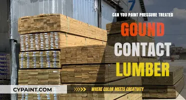 Revamping Your Outdoor Space: Painting Pressure-Treated Ground Contact Lumber