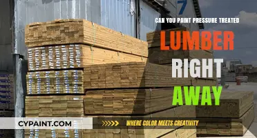 Painting Pressure-Treated Lumber: What You Need to Know Before Starting
