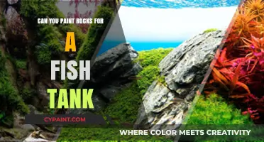 Creative Aquascaping: Painting Rocks for Your Fish Tank