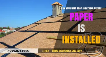 Painting Roof Sheathing: Before or After Installing Paper?