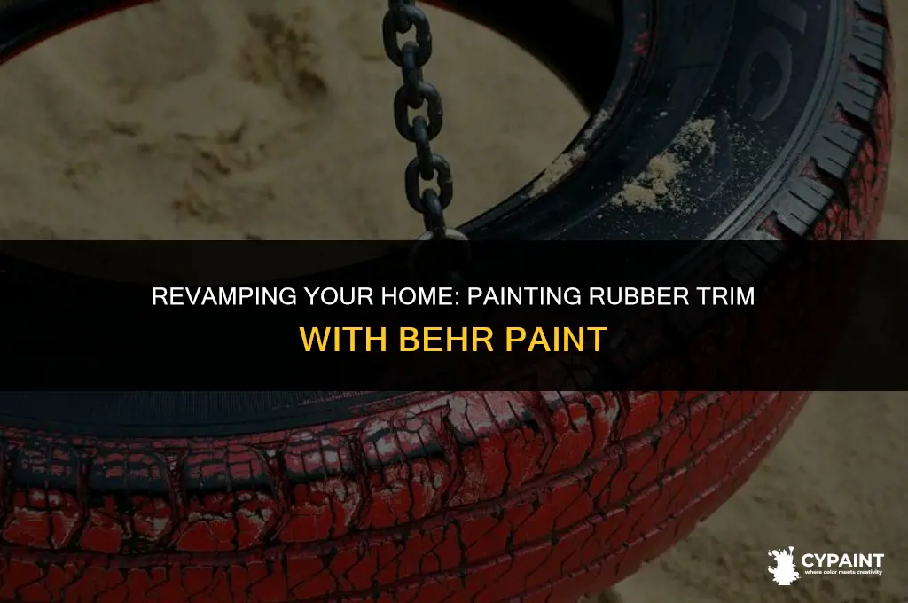 can you paint rubber trim with behr paint