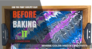 Unleashing Creativity: Pre-Baking Sculpey Clay Painting Techniques