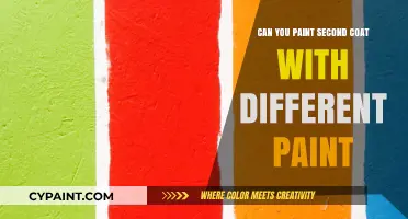Exploring Paint Options: Can You Apply a Second Coat with Different Paint?