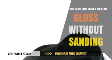 Painting Over Semi-Gloss: Sanding Optional or Necessary?