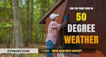 Painting Your Shed in Chilly Weather: Tips for Success