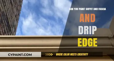 How to Paint Soffit, Fascia, and Drip Edge?
