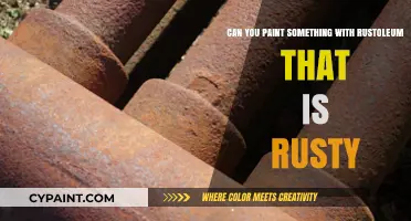 Rust-Oleum: Painting Rusty Surfaces, a Good Idea?