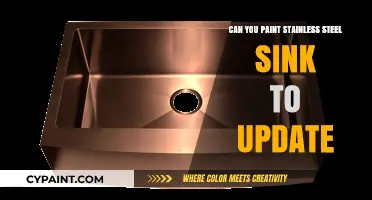 Revamping Your Kitchen: A Guide to Painting Stainless Steel Sinks