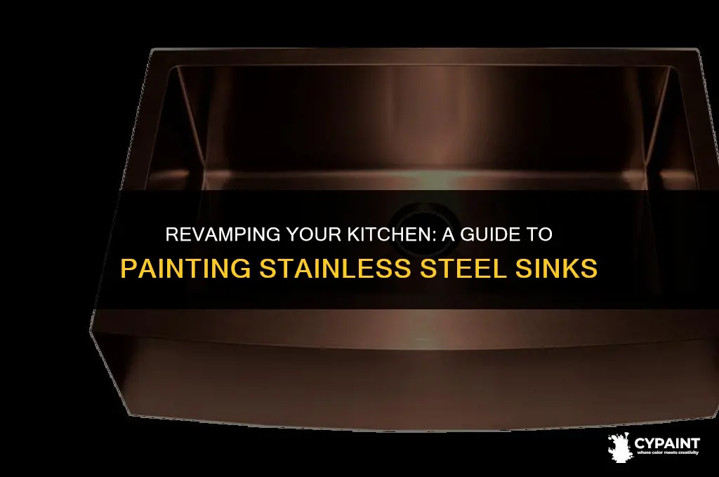 can you paint stainless steel sink to update