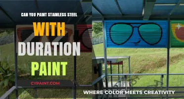 Revamping Stainless Steel: A Guide to Painting with Duration Paint