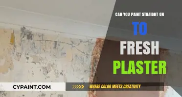Smooth Surfaces: Painting Directly onto Fresh Plaster