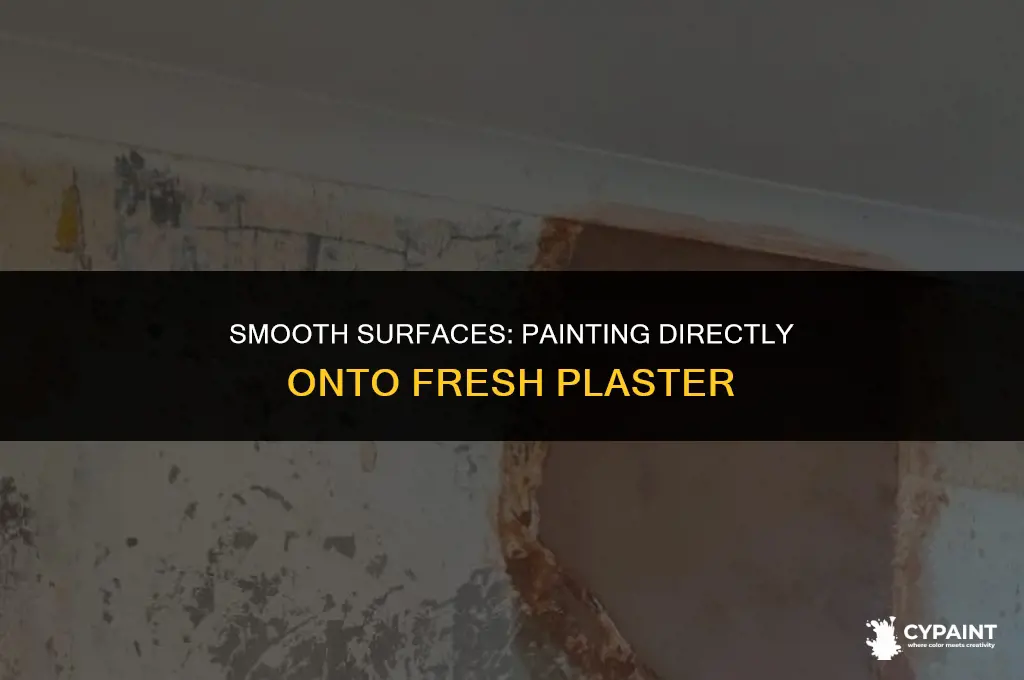 can you paint straight on to fresh plaster