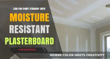 Painting on Moisture-Resistant Plasterboard: A Comprehensive Guide
