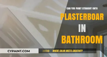 Transform Your Bathroom: Painting Directly onto Plasterboard