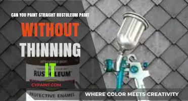 Rust-Oleum Paint: Thinning or Not?