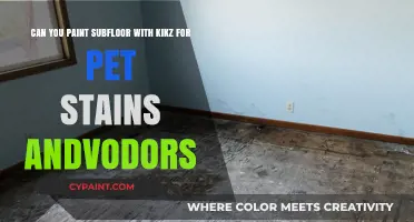 Painting Subfloor with Kilz: Effective Solution for Pet Stains and Odors?