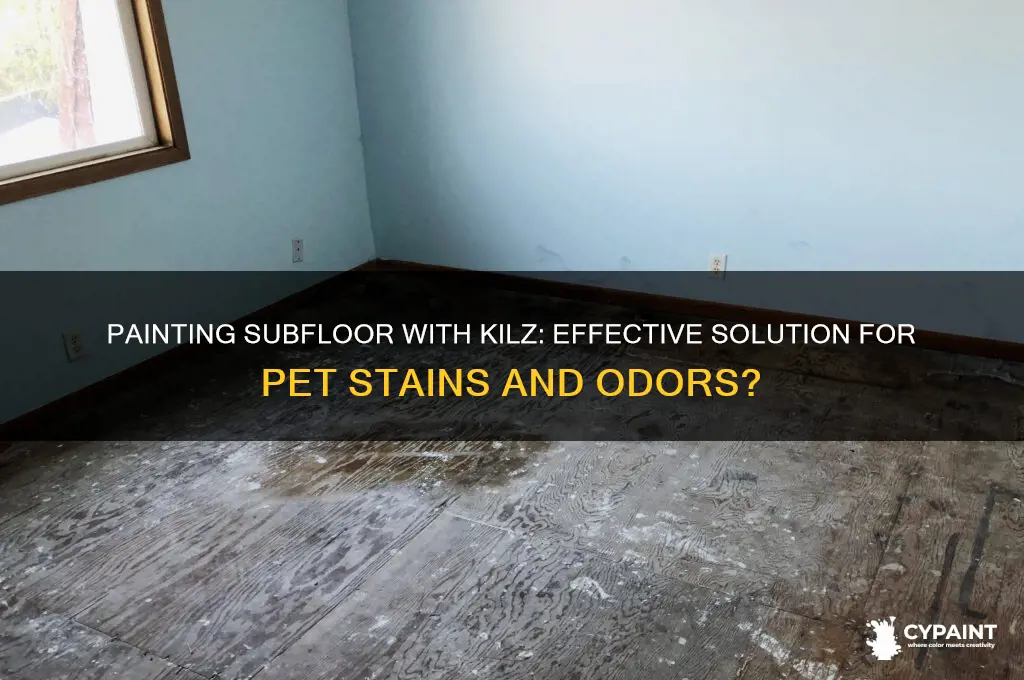 can you paint subfloor with kikz for pet stains andvodors