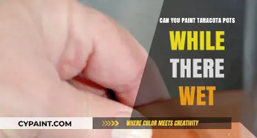 Revamping Wet Terracotta Pots: A Painter's Guide