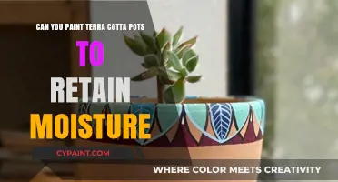 How to Paint Terra Cotta Pots for Moisture Retention