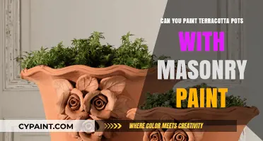 Revamping Terracotta Pots: A Guide to Using Masonry Paint