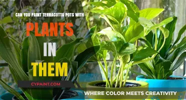 Terracotta Pot Makeover: Paint with Plants Intact