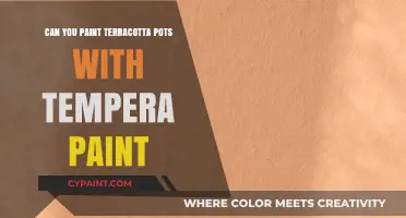 Revamping Terracotta Pots with Tempera: A Creative DIY Guide