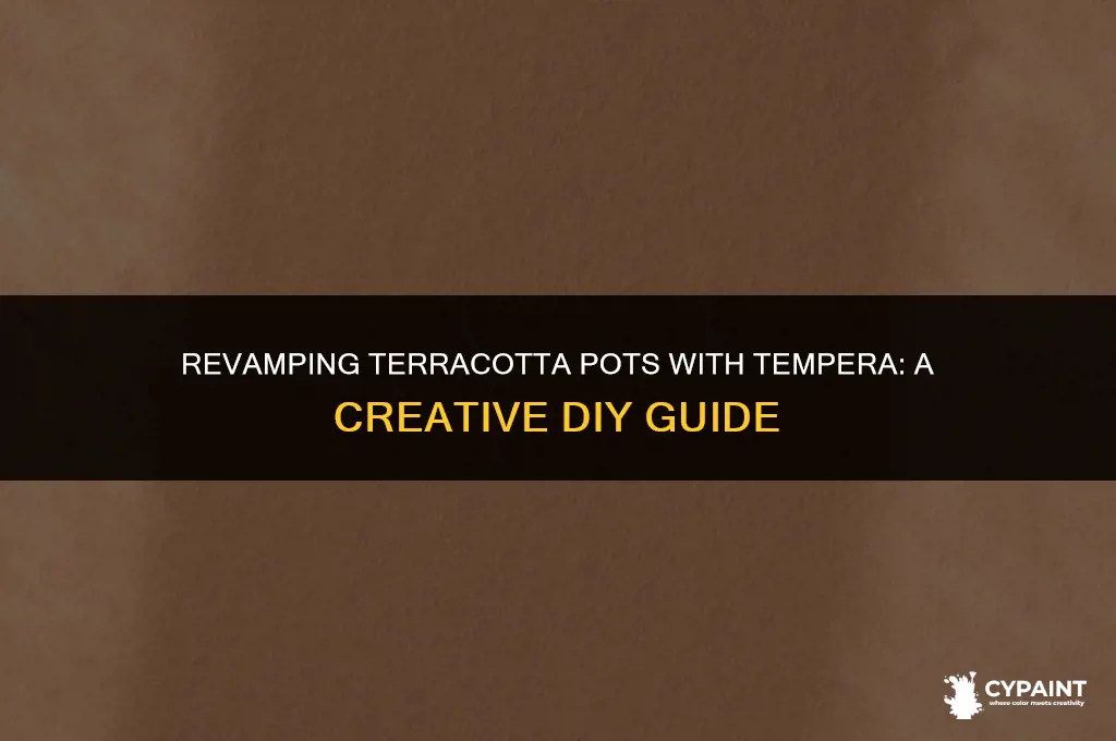 can you paint terracotta pots with tempera paint