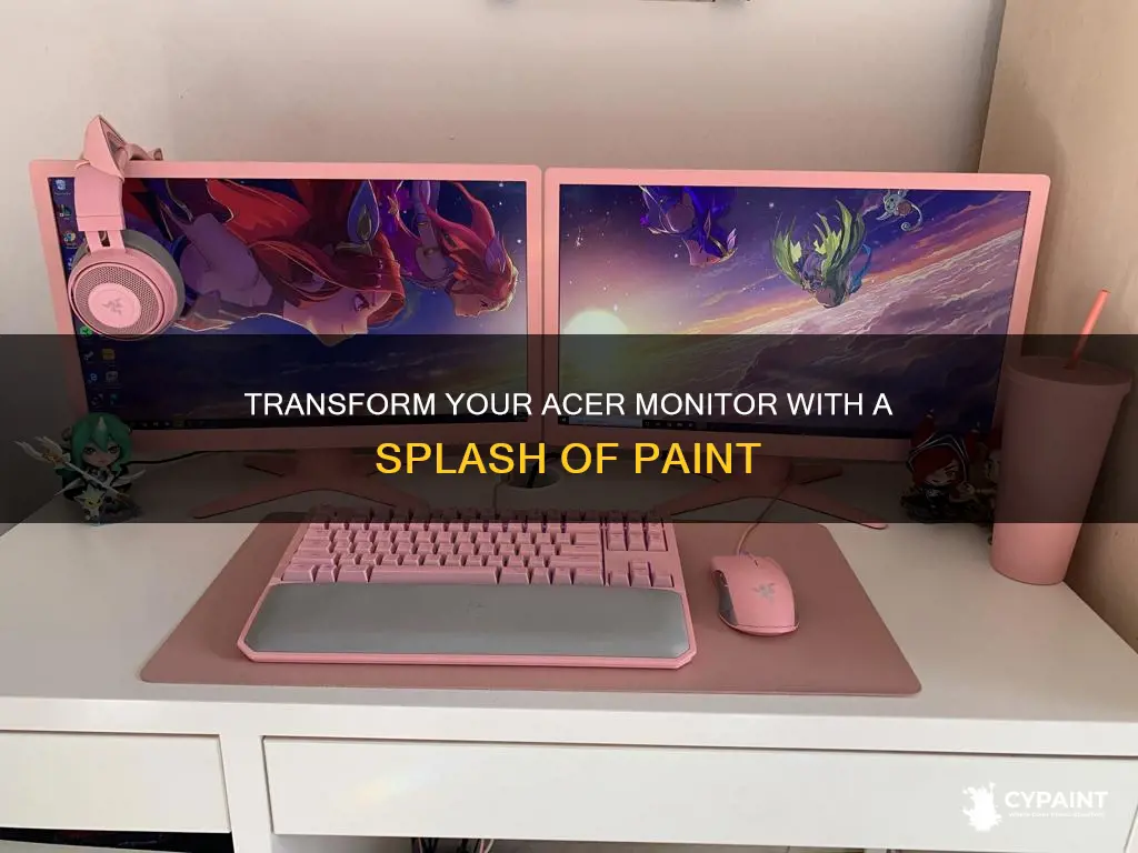 can you paint the back of a acer monitor