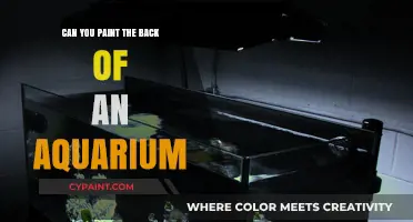 Exploring the Art of Aquarium Backdrops: A Painter's Guide