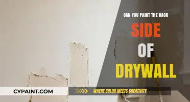 Unveiling the Truth: Can You Really Paint the Back Side of Drywall?
