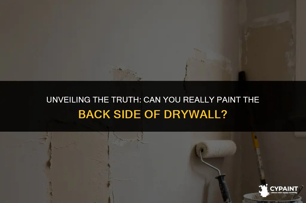 can you paint the back side of drywall